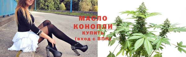 гидра Арсеньев