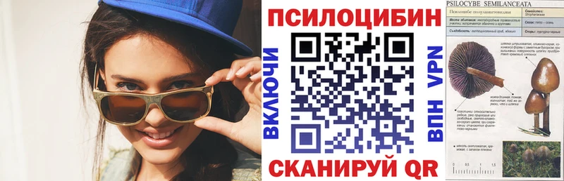 Галлюциногенные грибы мухоморы  наркотики  Кремёнки 